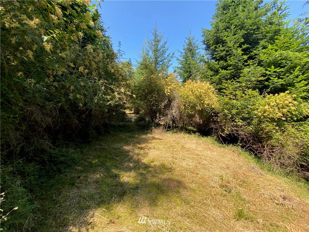 65-xxx Raccoon Point Road Orcas Island, WA 98245 - Photo 16 of 33 Gallery Image 16
