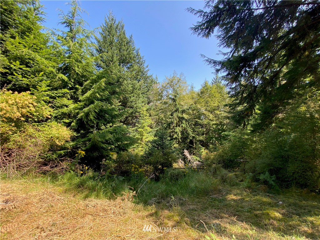 65-xxx Raccoon Point Road Orcas Island, WA 98245 - Photo 17 of 33 Gallery Image 17