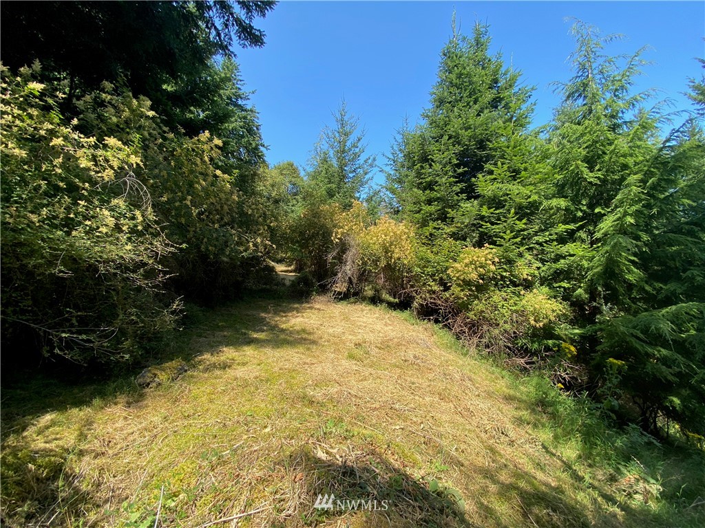 65-xxx Raccoon Point Road Orcas Island, WA 98245 - Photo 18 of 33 Gallery Image 18