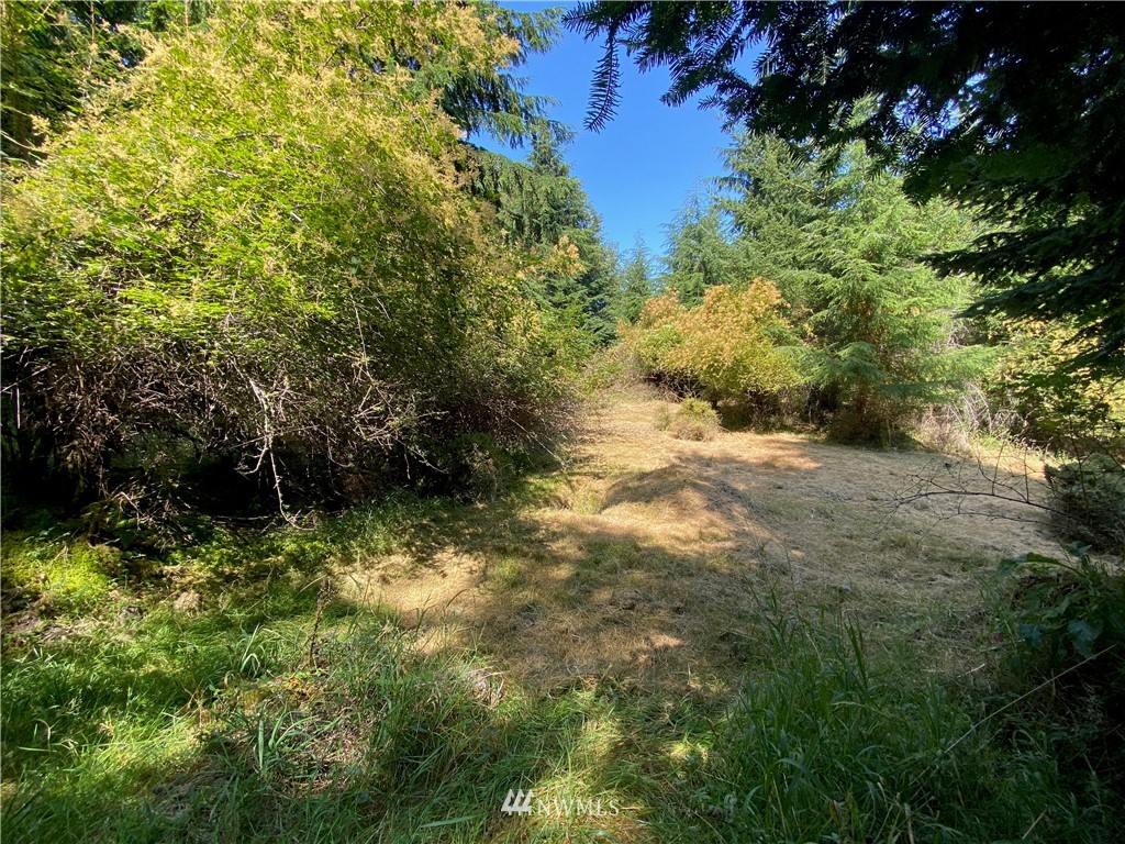 65-xxx Raccoon Point Road Orcas Island, WA 98245 - Photo 19 of 33 Gallery Image 19