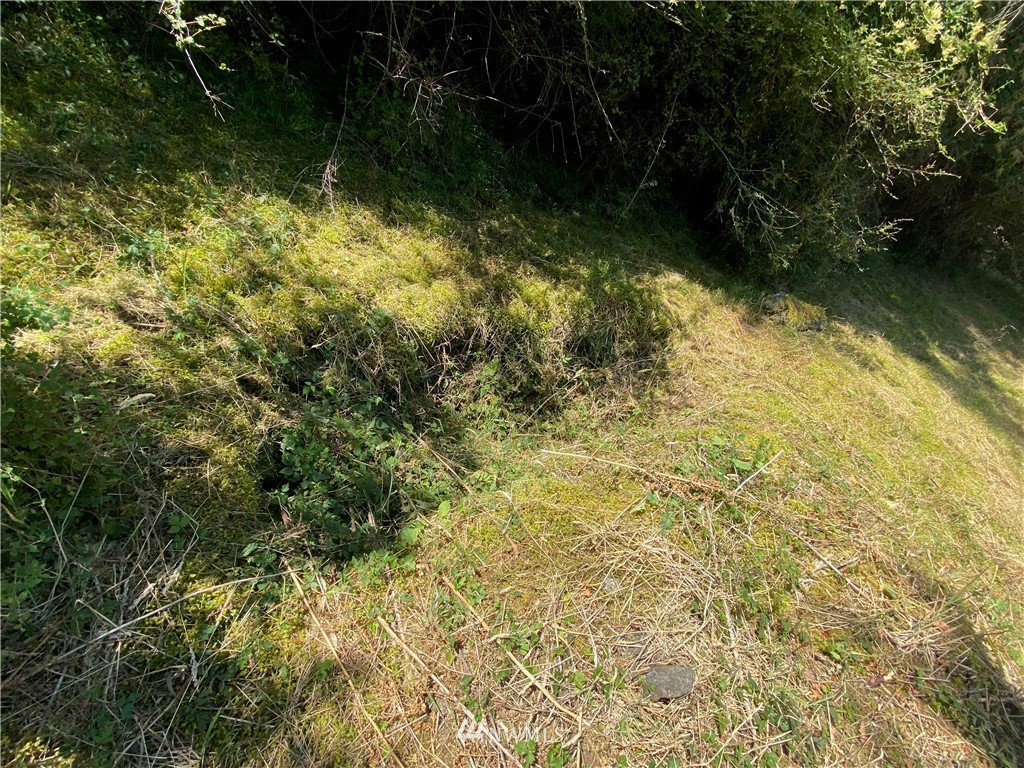 65-xxx Raccoon Point Road Orcas Island, WA 98245 - Photo 20 of 33 Gallery Image 20