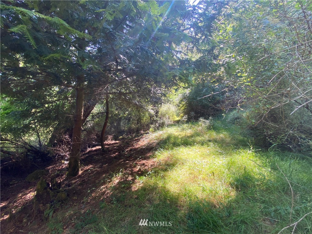 65-xxx Raccoon Point Road Orcas Island, WA 98245 - Photo 22 of 33 Gallery Image 22