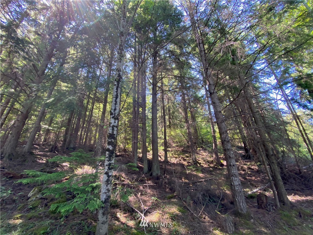 65-xxx Raccoon Point Road Orcas Island, WA 98245 - Photo 24 of 33 Gallery Image 24