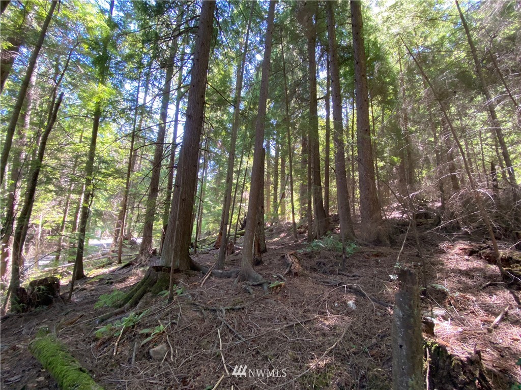 65-xxx Raccoon Point Road Orcas Island, WA 98245 - Photo 25 of 33 Gallery Image 25