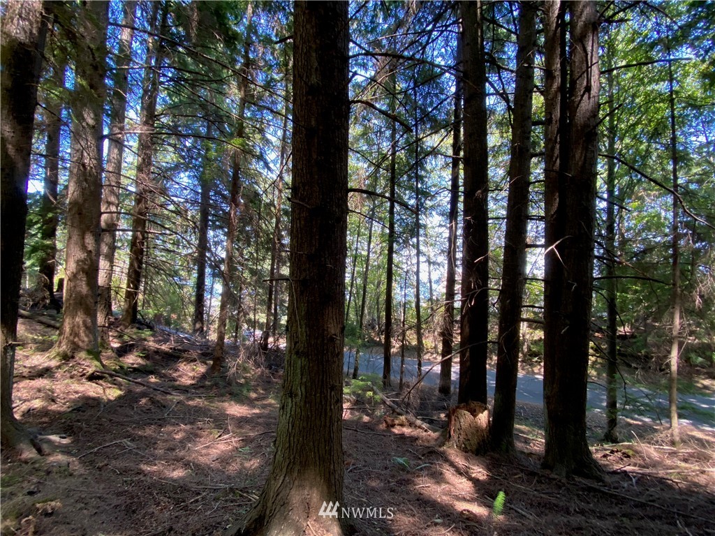 65-xxx Raccoon Point Road Orcas Island, WA 98245 - Photo 26 of 33 Gallery Image 26