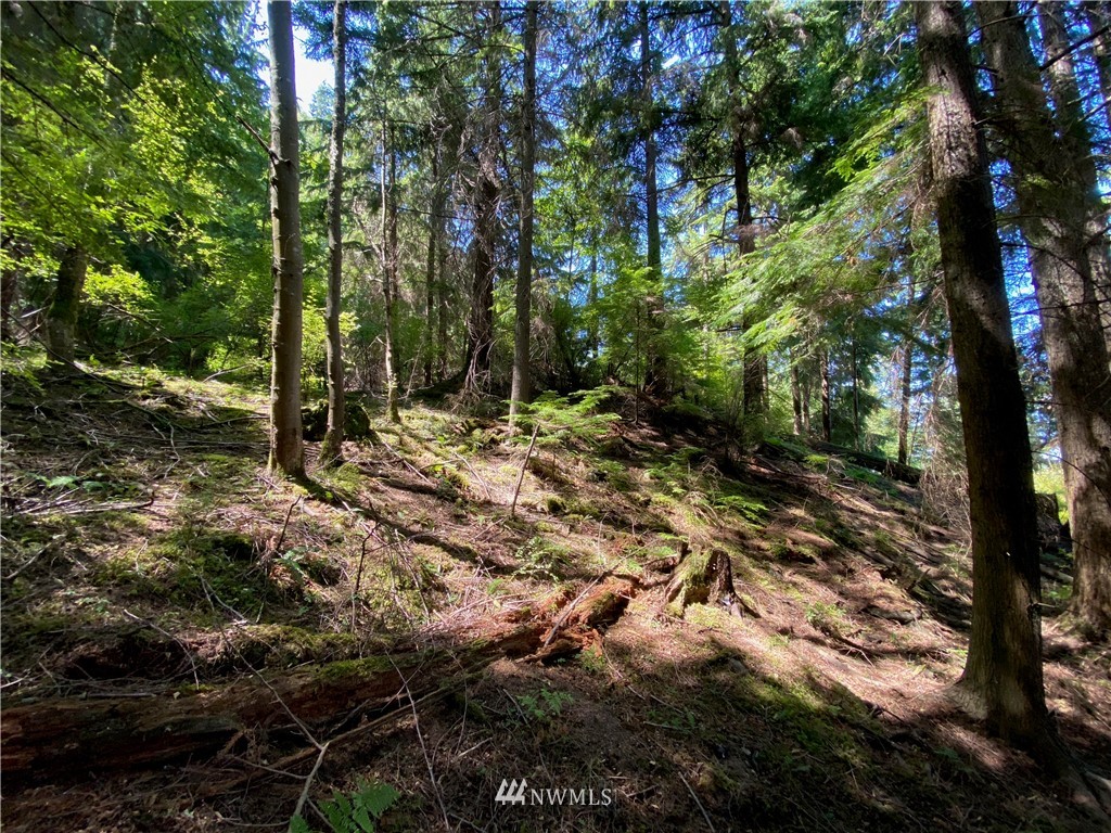 65-xxx Raccoon Point Road Orcas Island, WA 98245 - Photo 27 of 33 Gallery Image 27