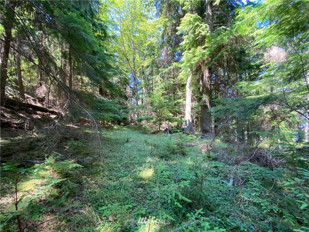 65-xxx Raccoon Point Road Orcas Island, WA 98245 - Photo 28 of 33 Gallery Image 28