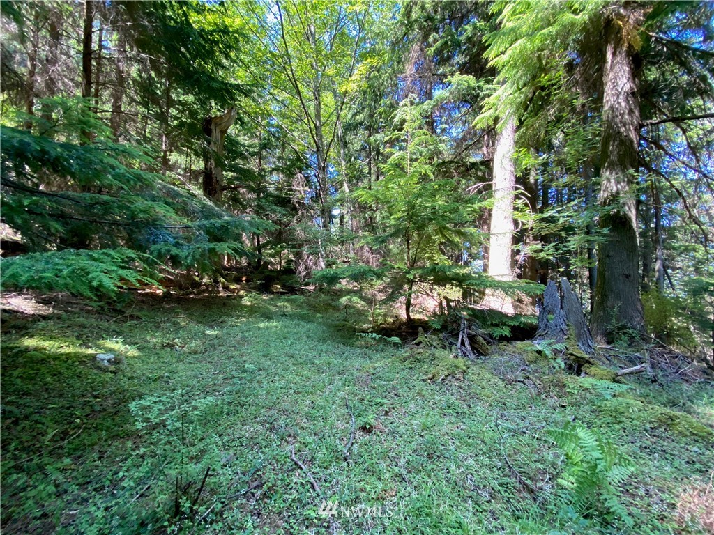 65-xxx Raccoon Point Road Orcas Island, WA 98245 - Photo 29 of 33 Gallery Image 29