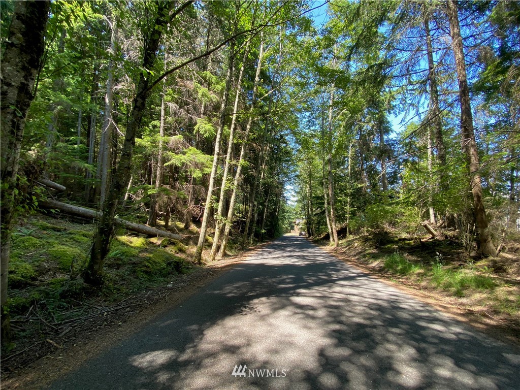 65-xxx Raccoon Point Road Orcas Island, WA 98245 - Photo 32 of 33 Gallery Image 32