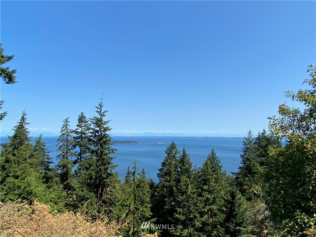 65-xxx Raccoon Point Road Orcas Island, WA 98245 - Photo 8 of 33 Gallery Image 8