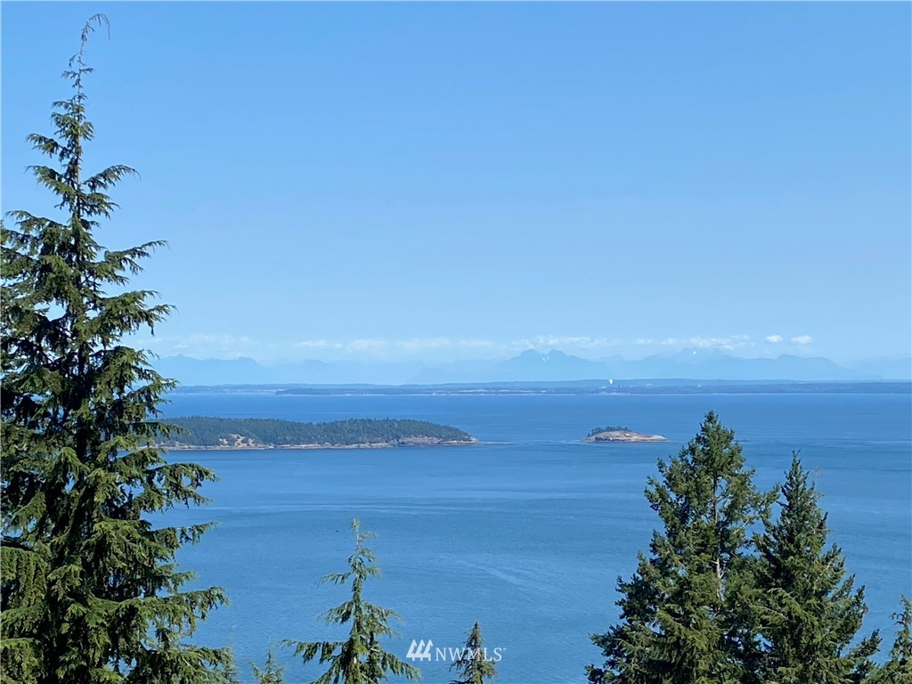 65-xxx Raccoon Point Road Orcas Island, WA 98245 - Photo 9 of 33 Gallery Image 9