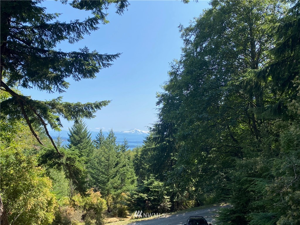 65-xxx Raccoon Point Road Orcas Island, WA 98245 - Photo 10 of 33 Gallery Image 10