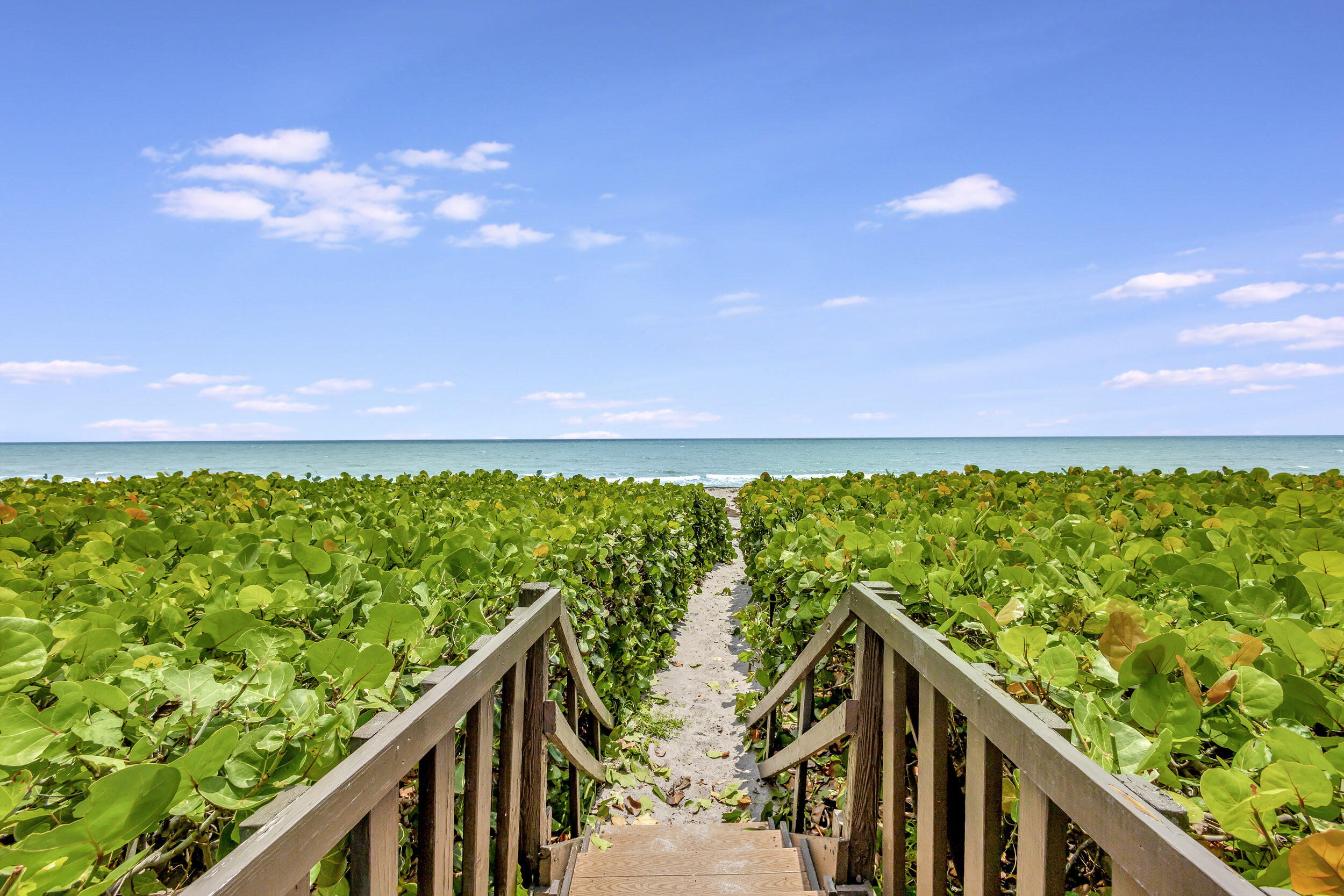 70 Celestial Way, Unit 203 Juno Beach, FL 33408 - Photo 65 of 75 Beach Access Path