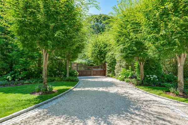 a view of a back yard