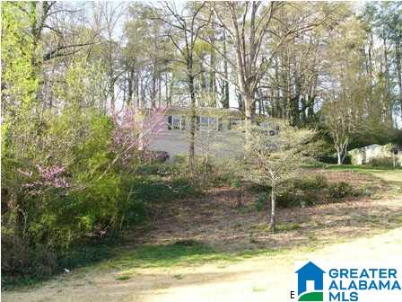 1321 Saulter Road Birmingham, AL 35209 - Photo 4 of 23