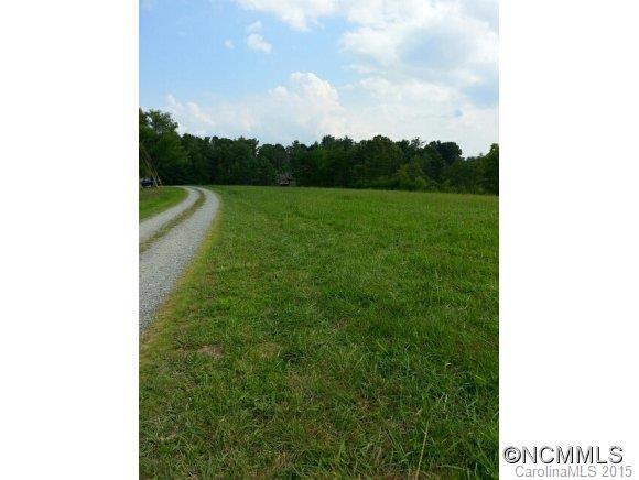 99999999 Goldview Road Asheville, NC 28804 - Photo 2 of 6
