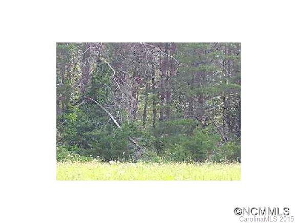 99999999 Goldview Road Asheville, NC 28804 - Photo 3 of 6