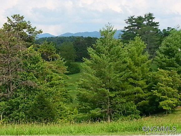 99999999 Goldview Road Asheville, NC 28804 - Photo 4 of 6
