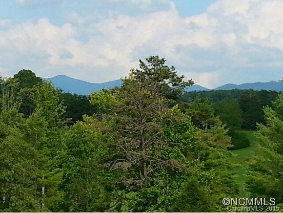 99999999 Goldview Road Asheville, NC 28804 - Photo 5 of 6
