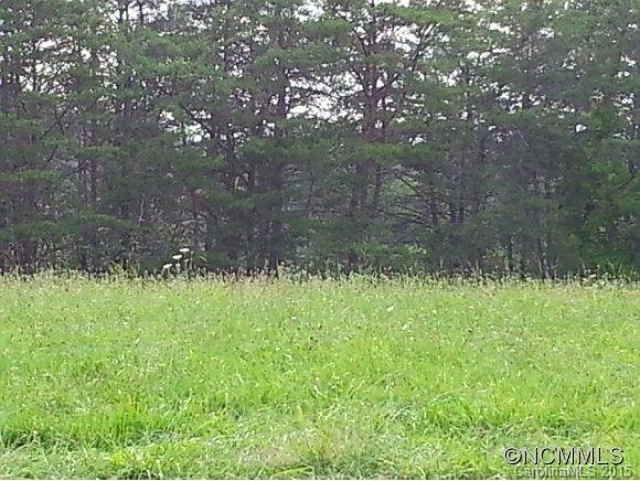 99999999 Goldview Road Asheville, NC 28804 - Photo 6 of 6