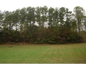 0 Cedar Crest Road, Unit 9 Mosheim, TN 37818 - Photo 1 of 1 Photo 1