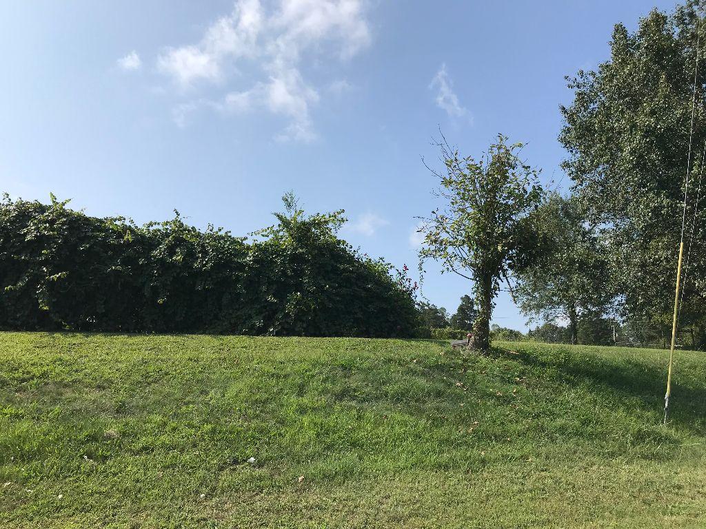 8641 Greenwell Road Powell, TN 37849 - Photo 3 of 3 greenwell1