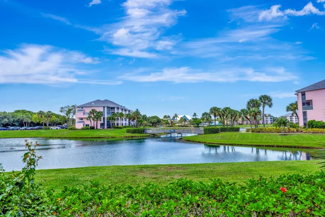 a view of a garden with a house in the background
