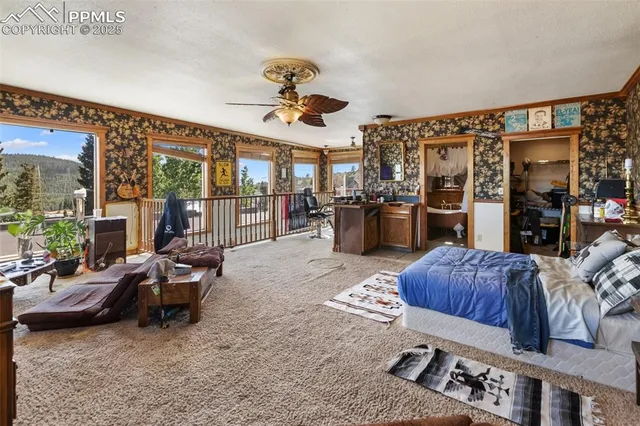 $488,000 | 119 South 3rd Street, Victor, CO 80860