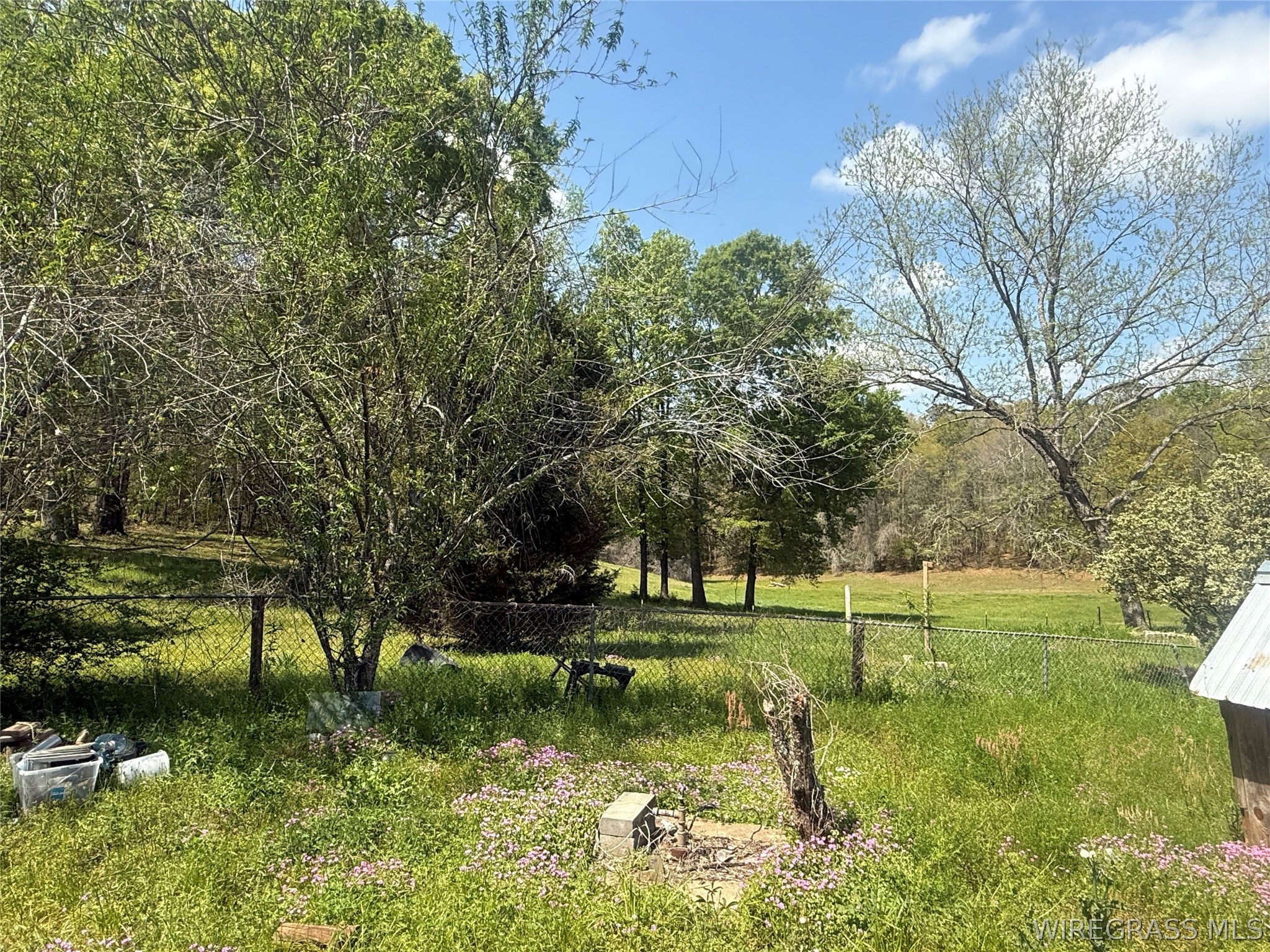 30885 Straughn School Road Andalusia, AL 36421 - Photo 6 of 16 Gallery Image 6