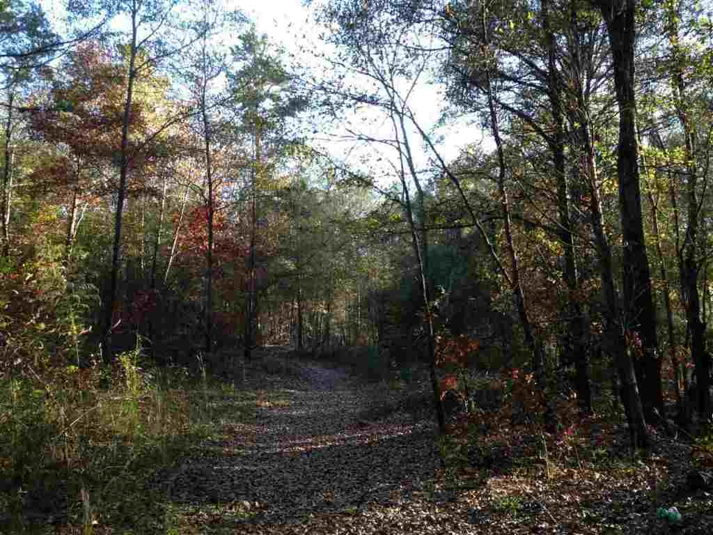 6-acres Cely Road Easley, SC 29642 - Photo 2 of 6 Gallery Image 2