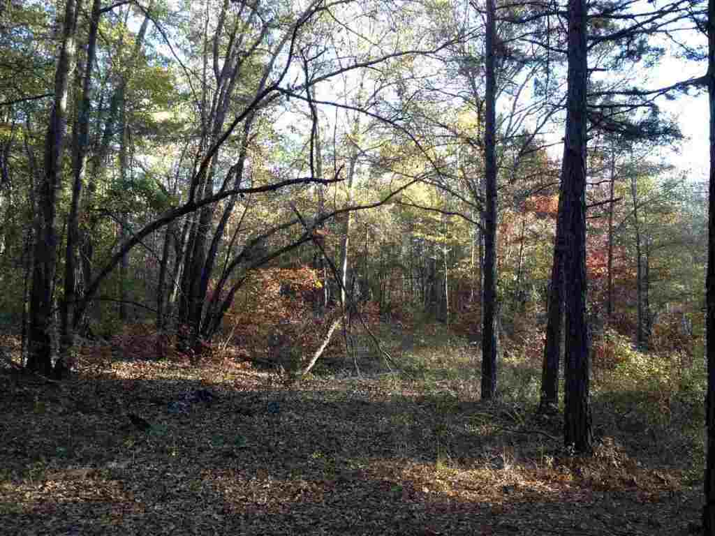 6-acres Cely Road Easley, SC 29642 - Photo 3 of 6 Gallery Image 3