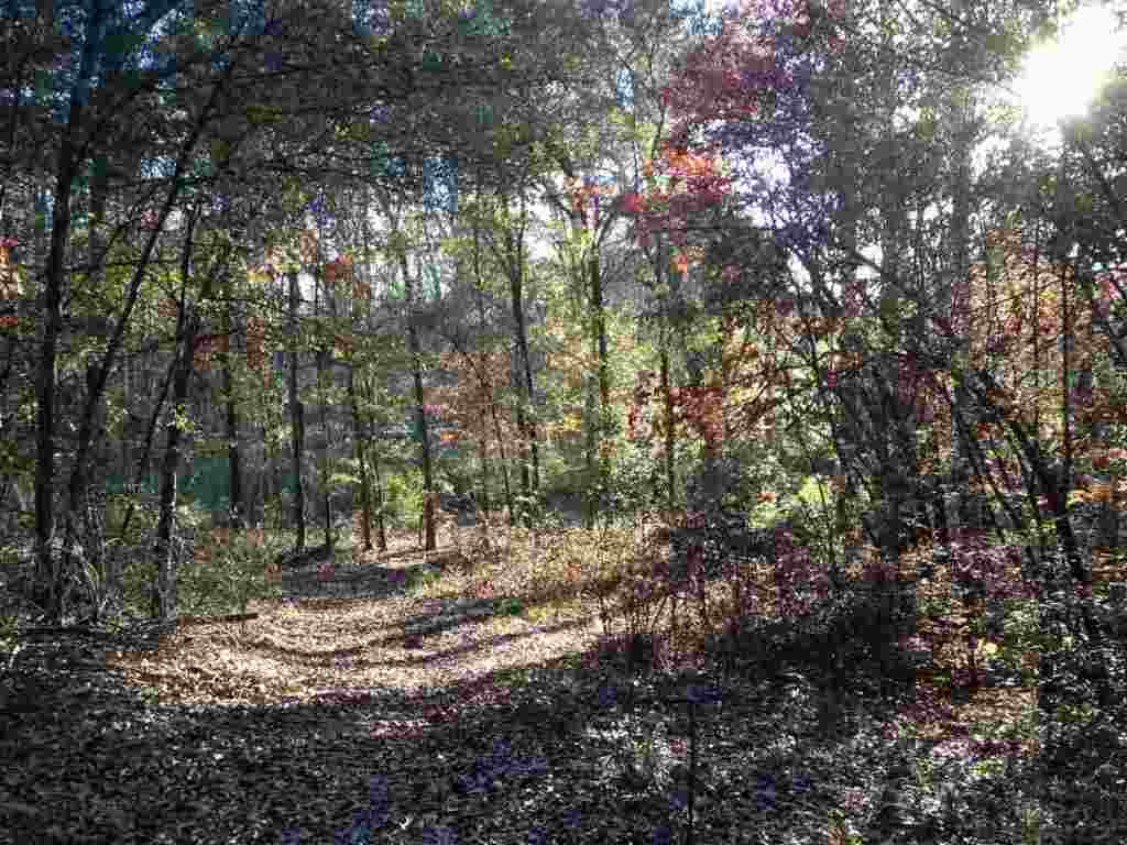 6-acres Cely Road Easley, SC 29642 - Photo 4 of 6 Gallery Image 4