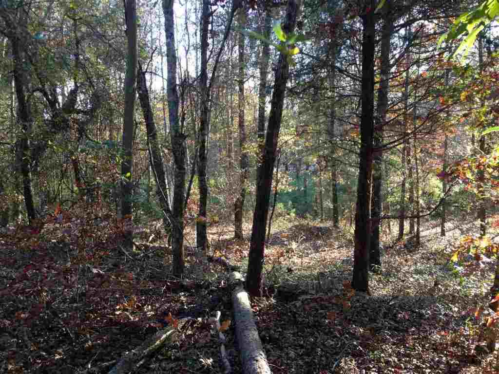 6-acres Cely Road Easley, SC 29642 - Photo 5 of 6 Gallery Image 5