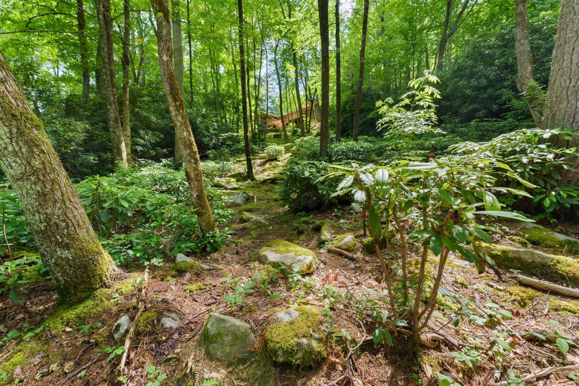 293 Gem Creek Road Cullowhee, NC 28723 - Photo 40 of 48 Gallery Image 40