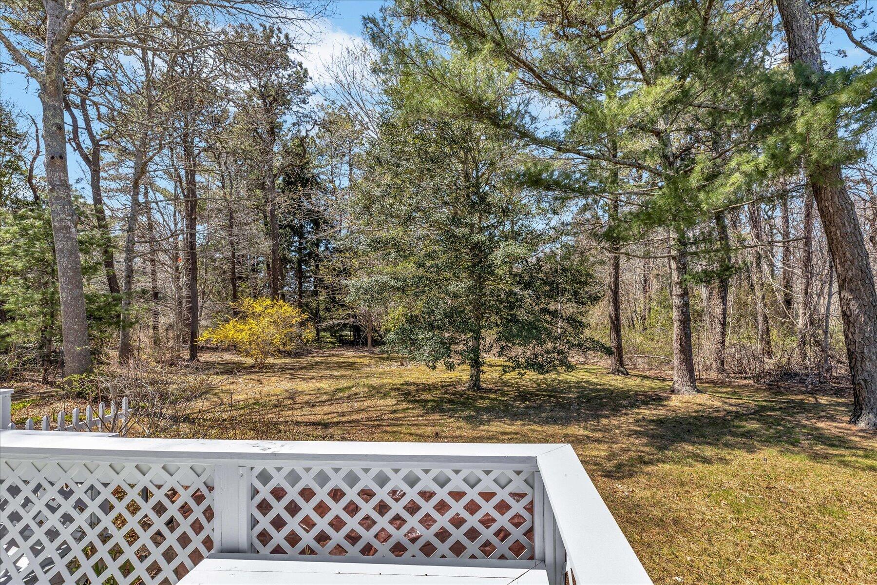12 Snake Pond Road Forestdale, MA 02644 - Photo 17 of 41 18-Y1A6780