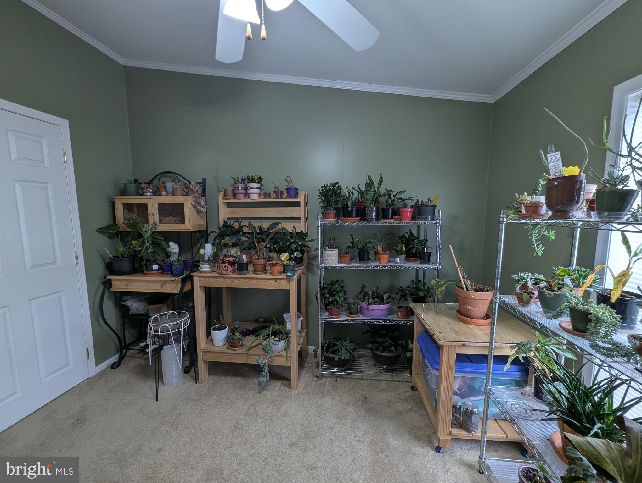 248 Williams Lane Red Hill, PA 18076 - Photo 13 of 37 a room with furniture and a fireplace