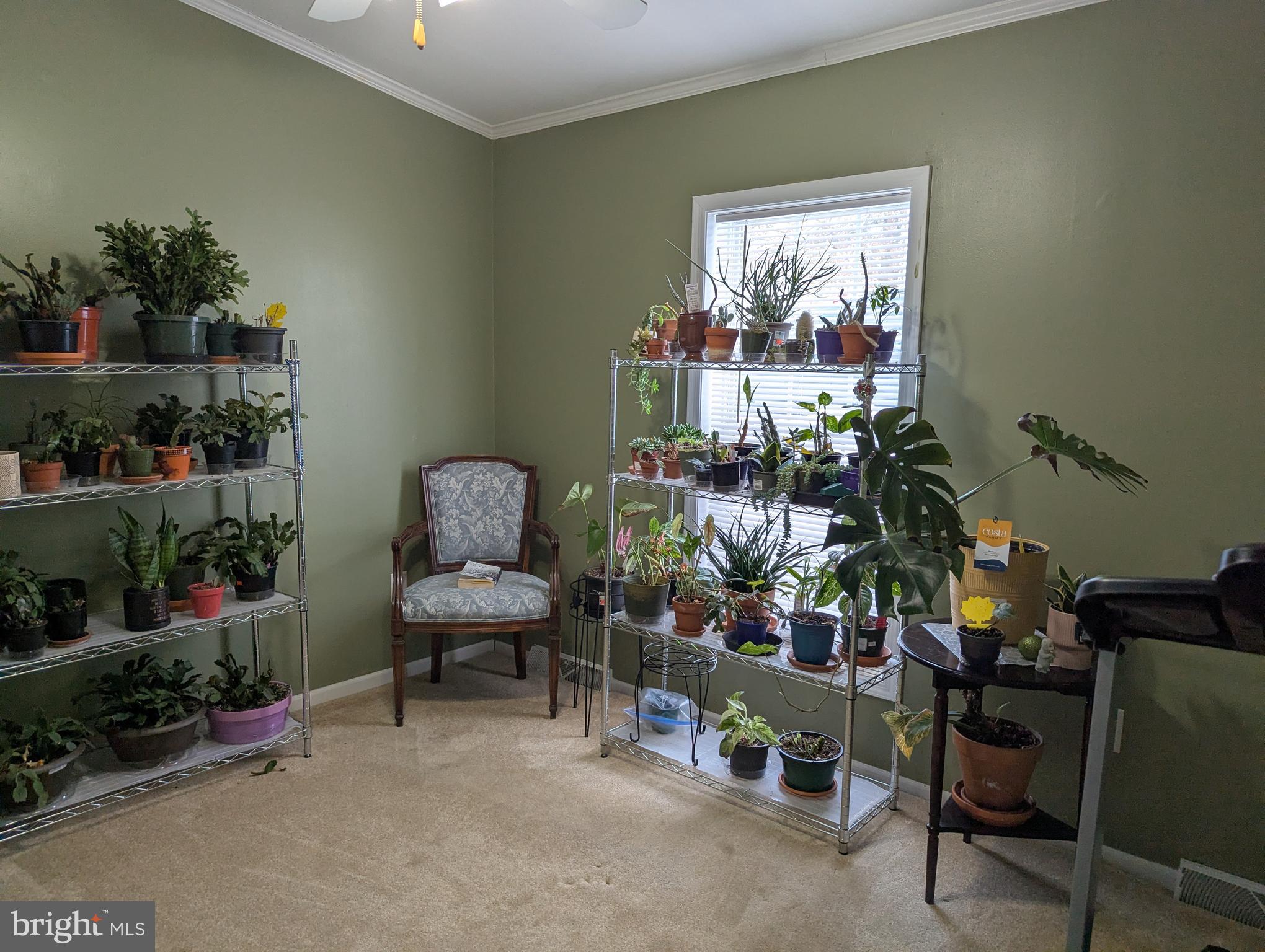 248 Williams Lane Red Hill, PA 18076 - Photo 10 of 37 Great light for plants