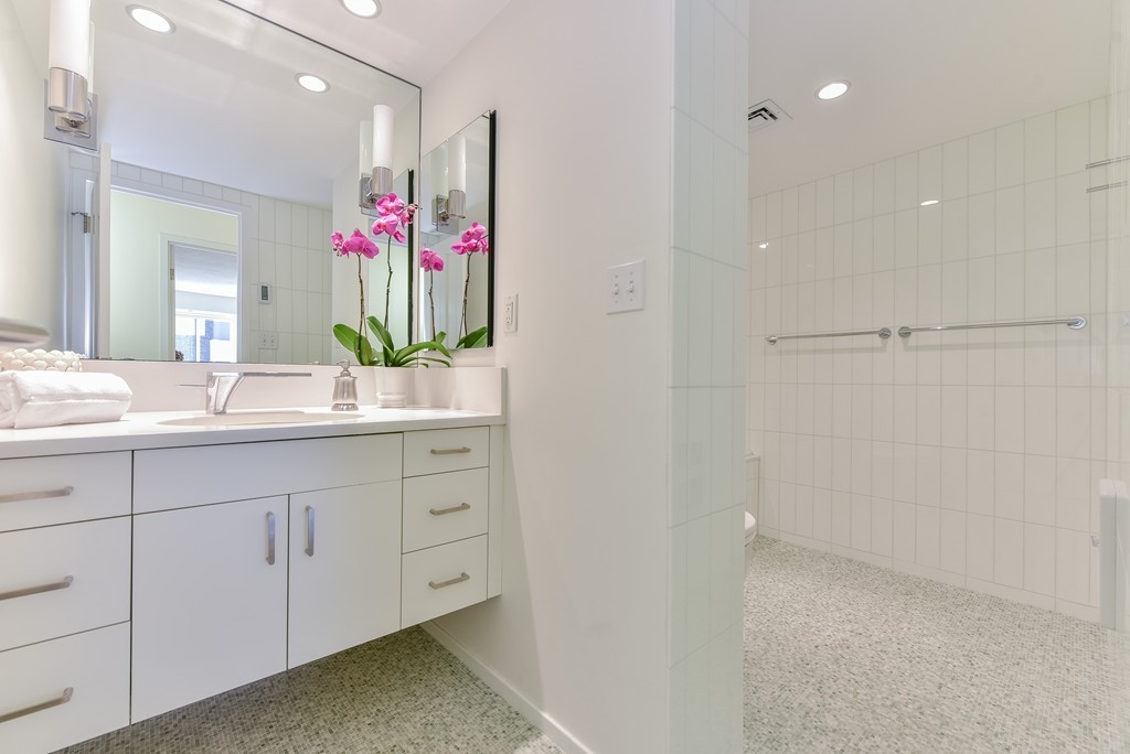 30 Stearns Road, Unit PHA Brookline, MA 02446 - Photo 12 of 20 Gallery Image 12