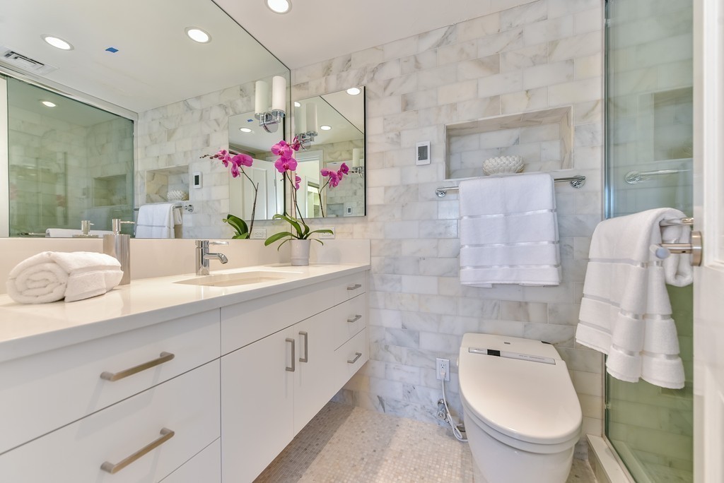 30 Stearns Road, Unit PHA Brookline, MA 02446 - Photo 9 of 20 Gallery Image 9