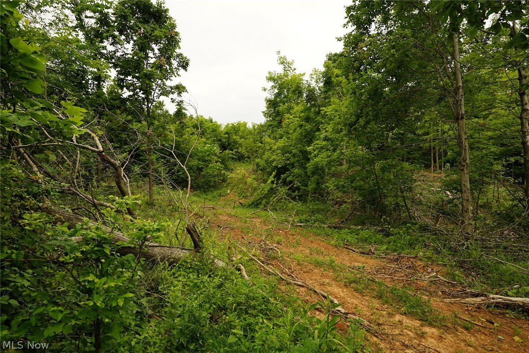 Ellis Run Road Cutler, OH 45724 - Photo 6 of 10 Gallery Image 6