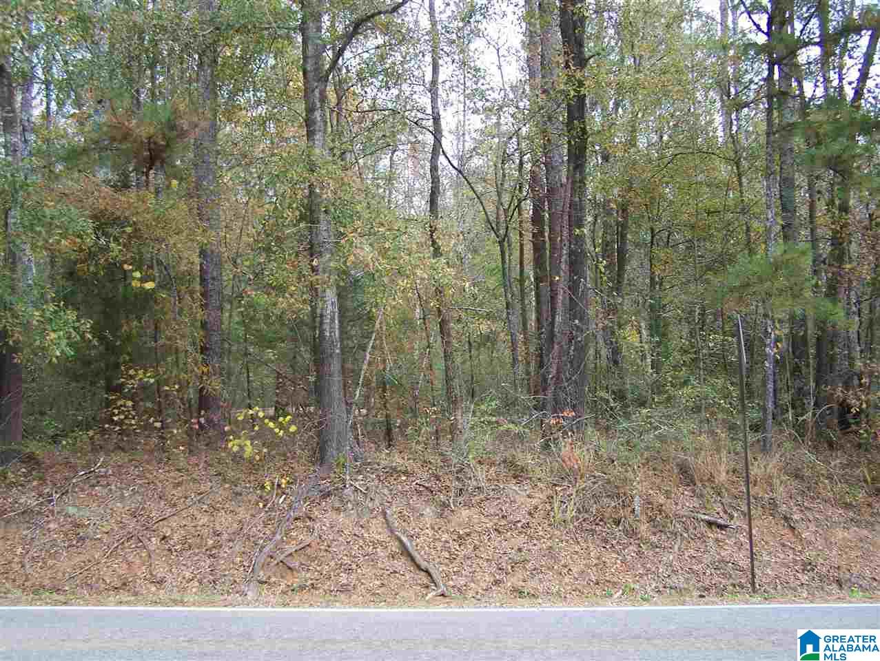 1 Cottaquilla Road Jacksonville, AL 36265 - Photo 2 of 8