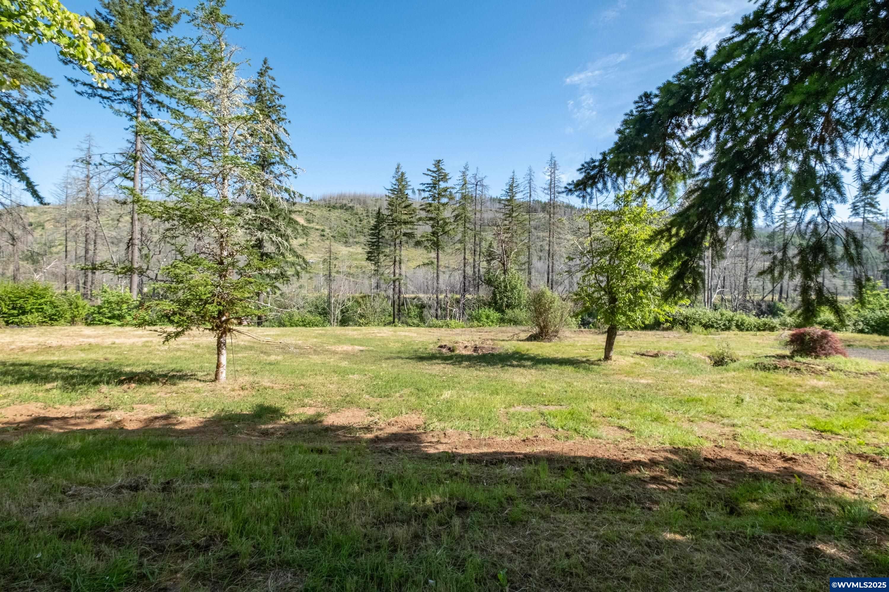 26147 Taylor Park Road Southeast Lyons, OR 97358 - Photo 5 of 25