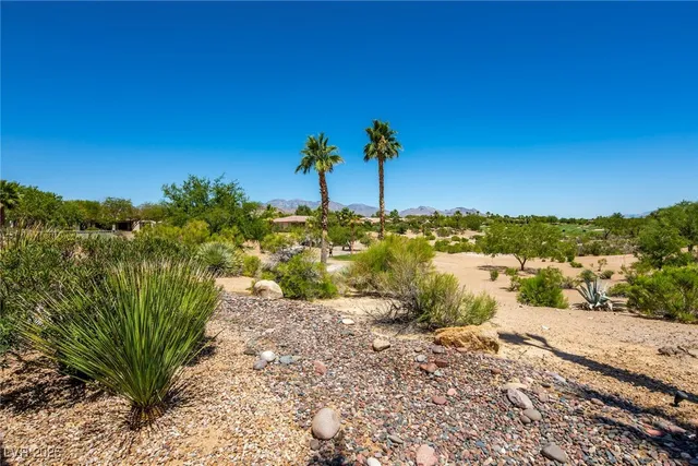 $3,500 | 10248 Santo Nina Court, Las Vegas, NV 89135