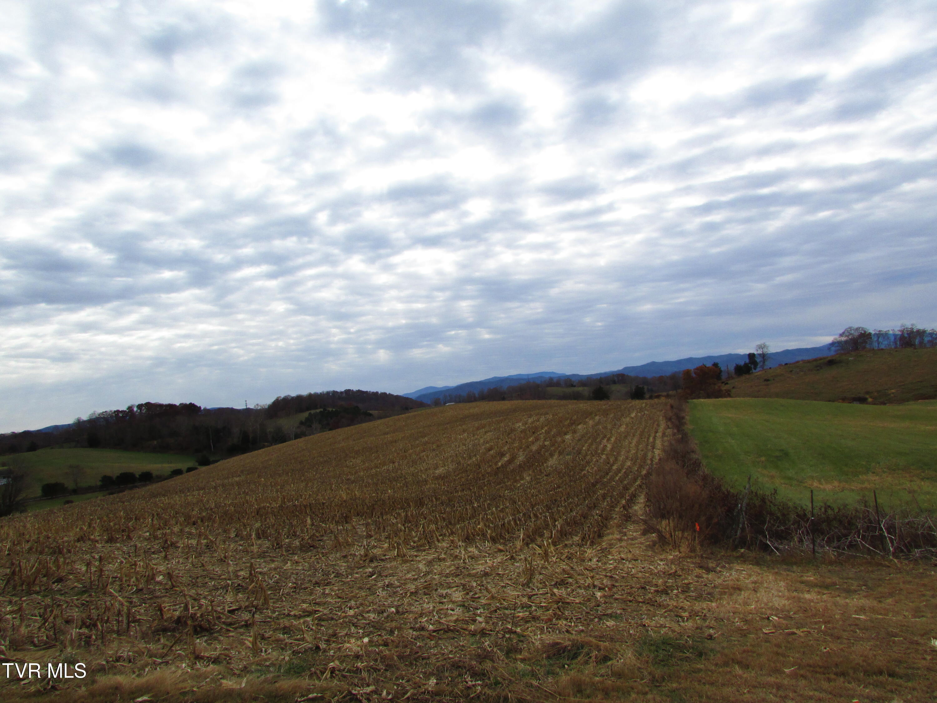 Tbd Slagle Road Elizabethton, TN 37643 - Photo 18 of 31 IMG_1408