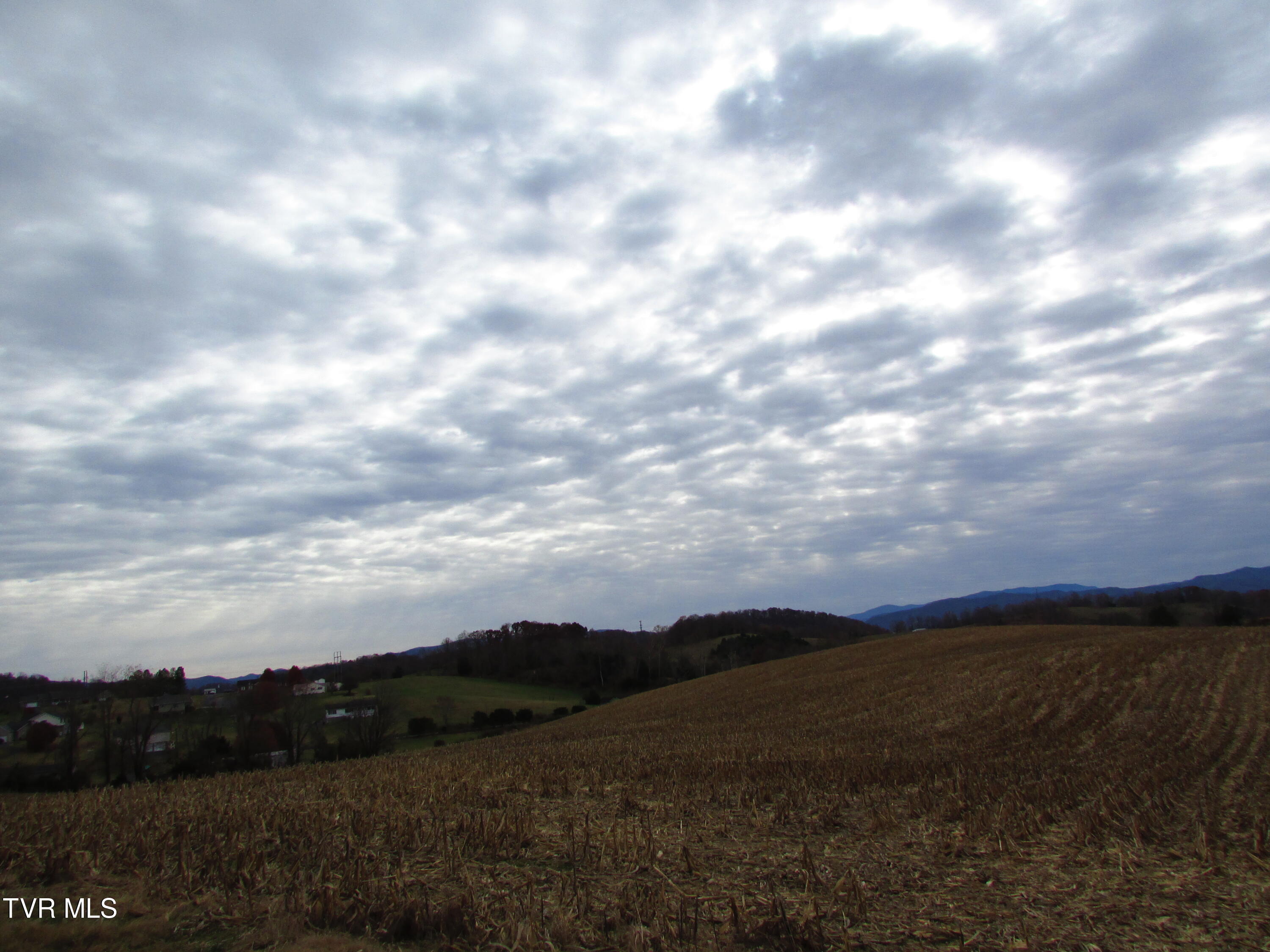 Tbd Slagle Road Elizabethton, TN 37643 - Photo 19 of 31 IMG_1409
