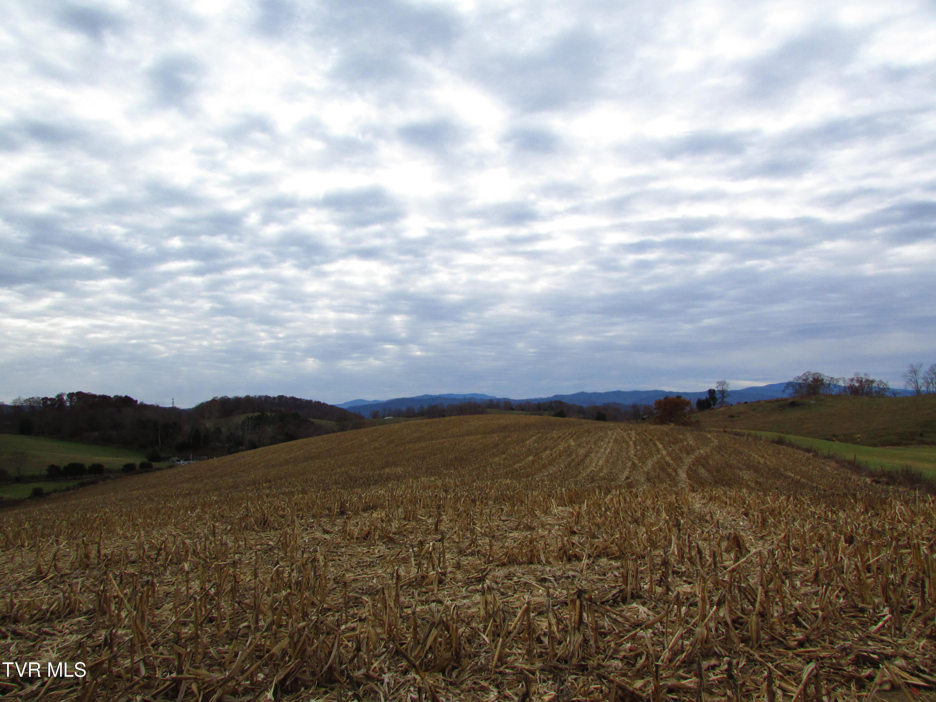 Tbd Slagle Road Elizabethton, TN 37643 - Photo 23 of 31 IMG_1413