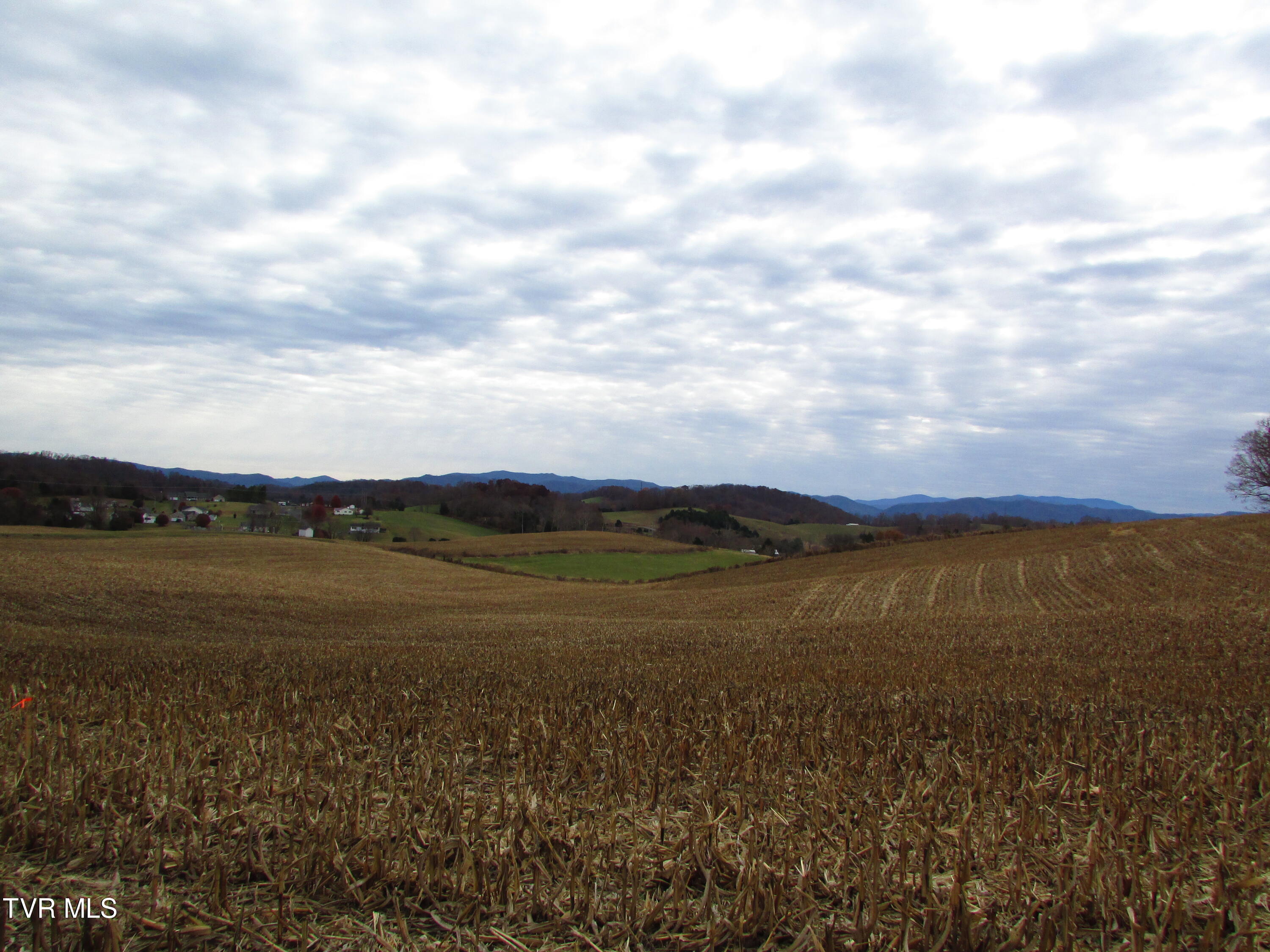 Tbd Slagle Road Elizabethton, TN 37643 - Photo 27 of 31 IMG_1417