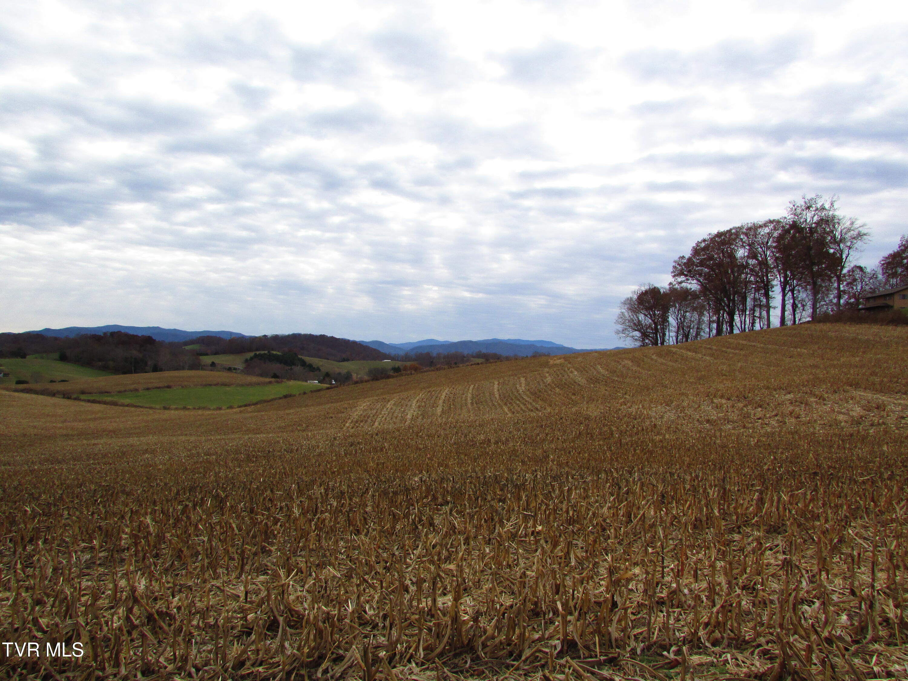 Tbd Slagle Road Elizabethton, TN 37643 - Photo 28 of 31 IMG_1418