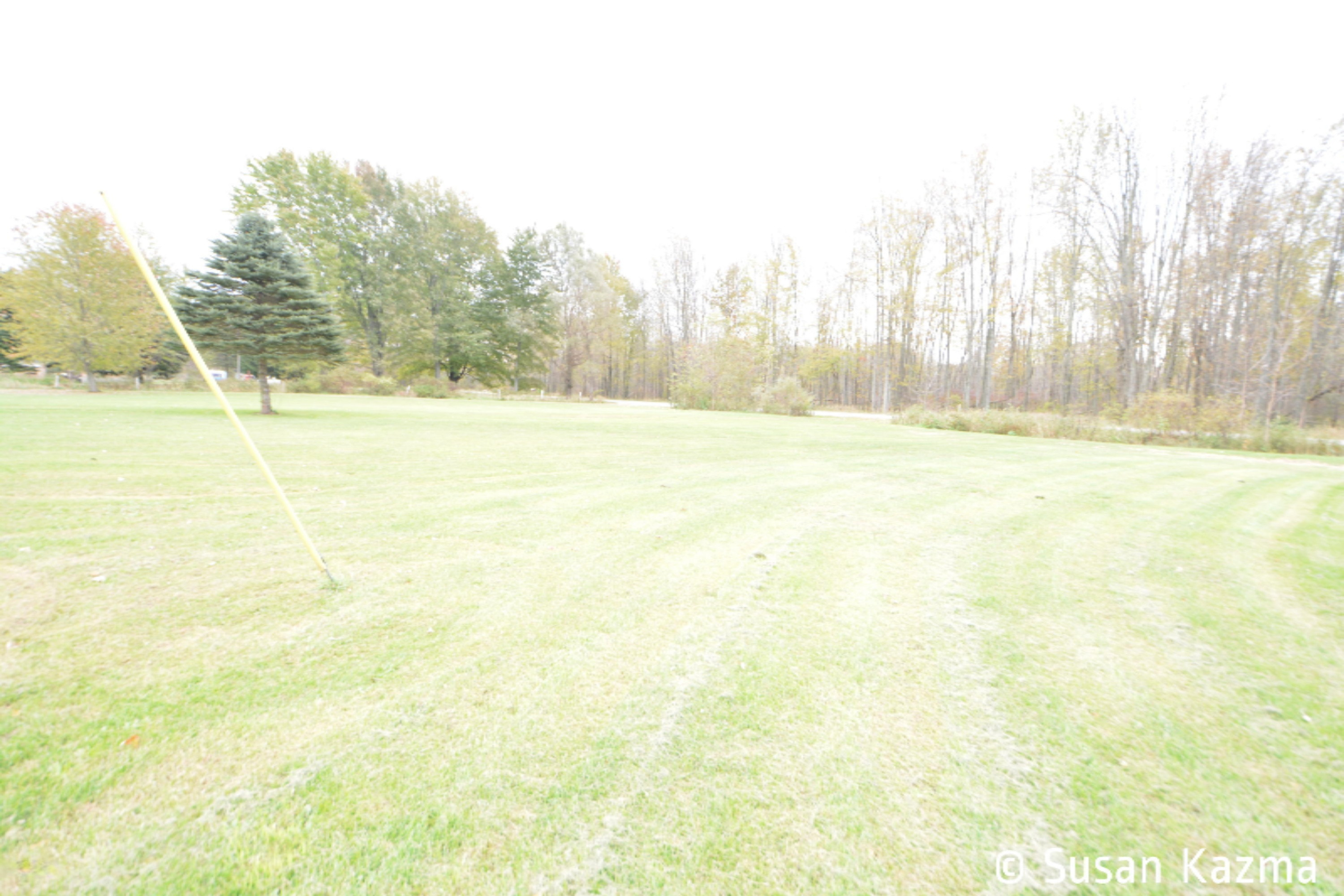 4295 East Fenwick Road Fenwick, MI 48834 - Photo 24 of 34 DSC_0183