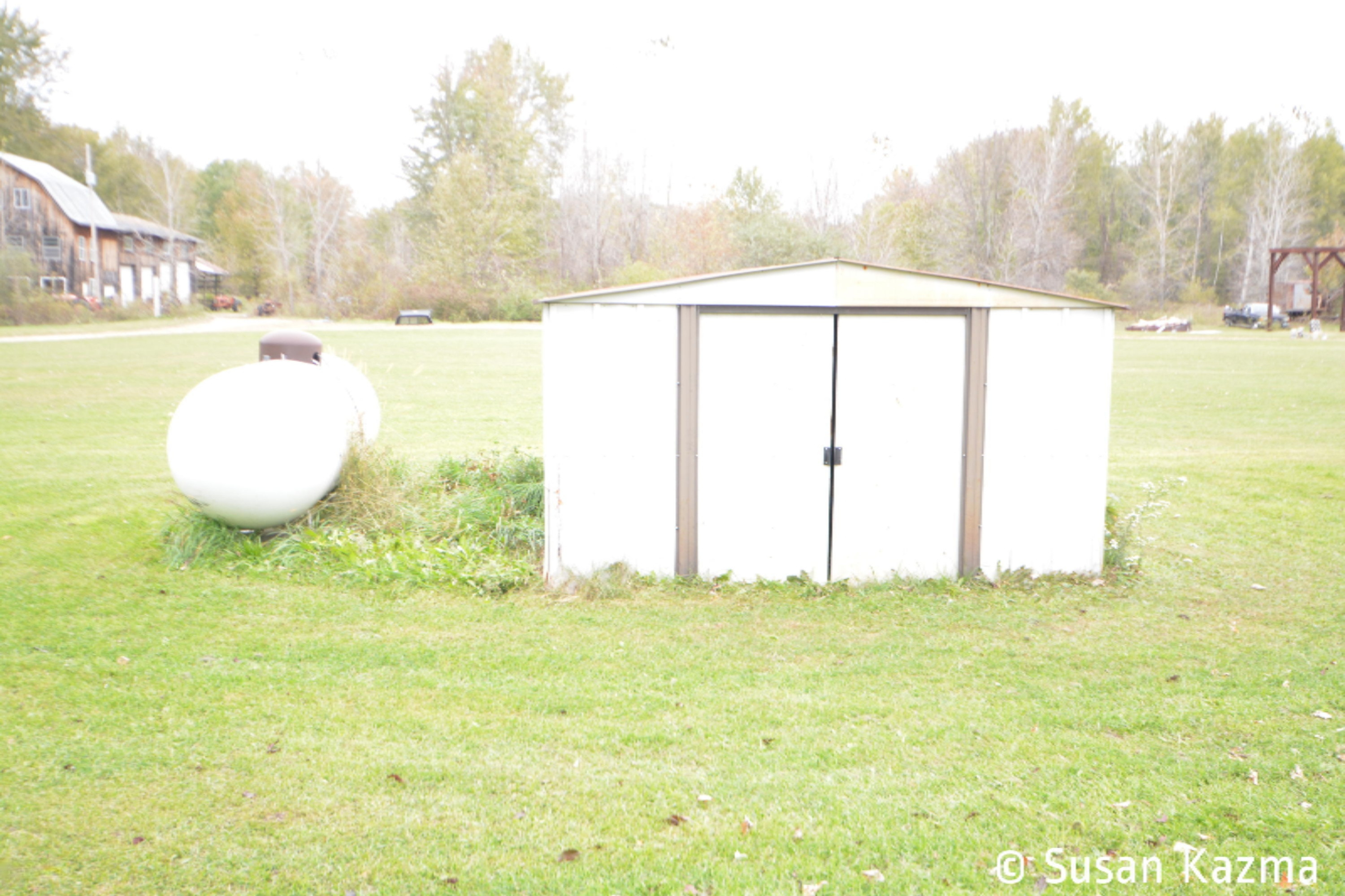 4295 East Fenwick Road Fenwick, MI 48834 - Photo 26 of 34 DSC_0191